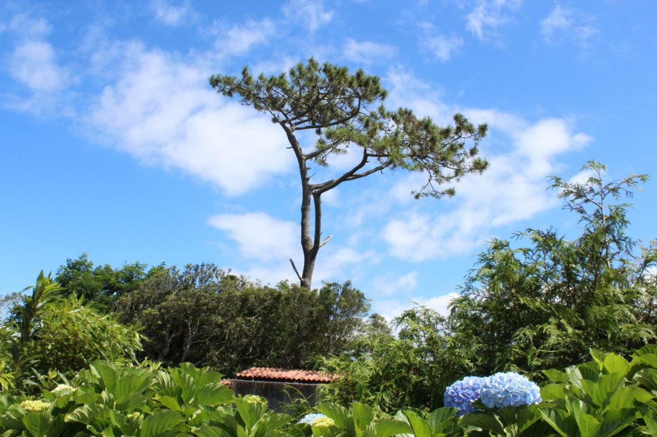 Quinta Do Torreao Villa Capelas Exterior photo